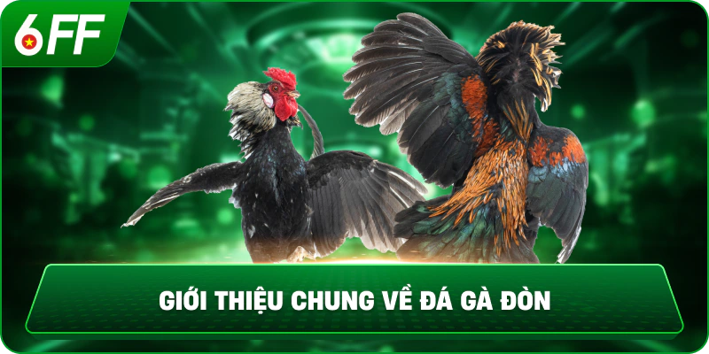 Giới thiệu chung về đá gà đòn