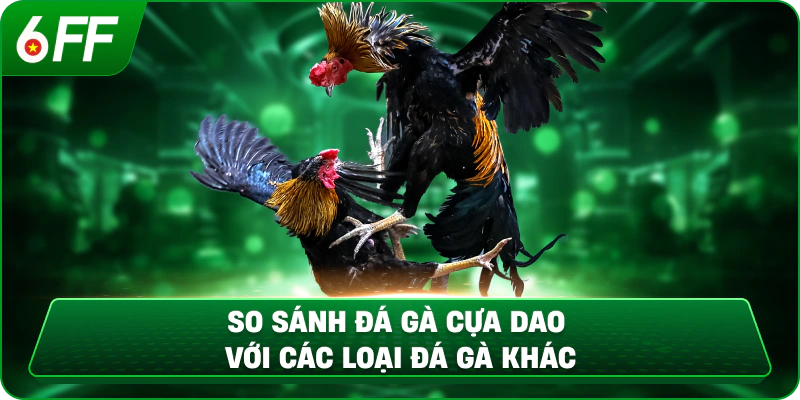 So sánh đá gà cựa dao với các loại đá gà khác